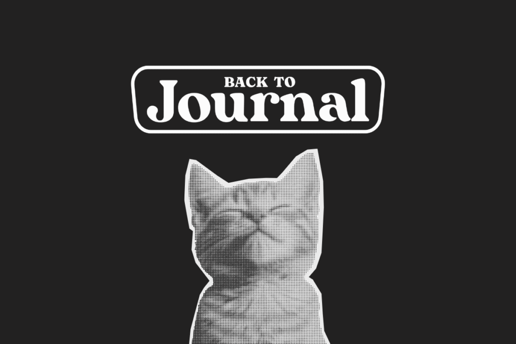 Immagine scura con il logo bianco ufficiale di backtojournal il blog sul journaling di riferimento in Italia