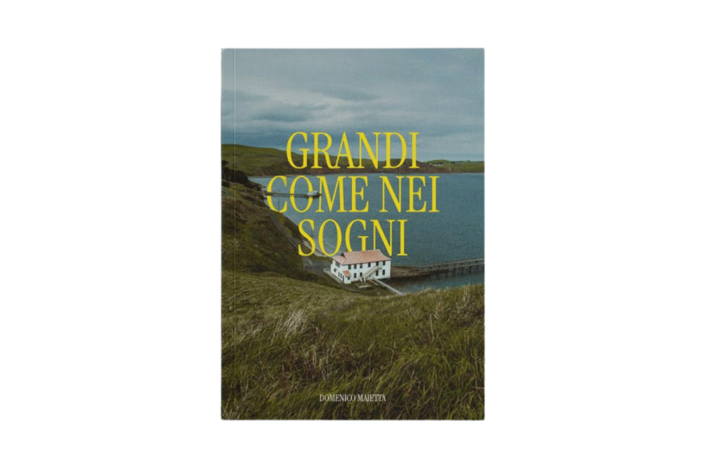 Immagine di copertina del romanzo: Grandi come nei sogni, di Domenico Maietta. Disponibile in Amazon.